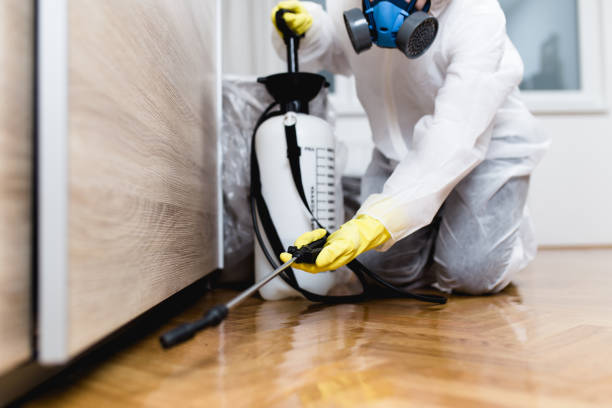 Best Flea Control Services  in Mountain House, CA