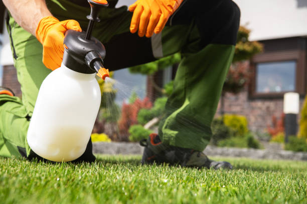 Best Bird Control  in Mountain House, CA