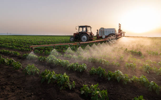 Best Commercial Pest Control Services  in Mountain House, CA
