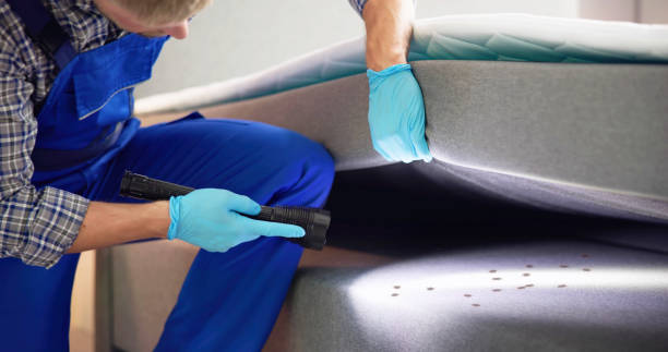 Pest Control for Restaurants in Mountain House, CA
