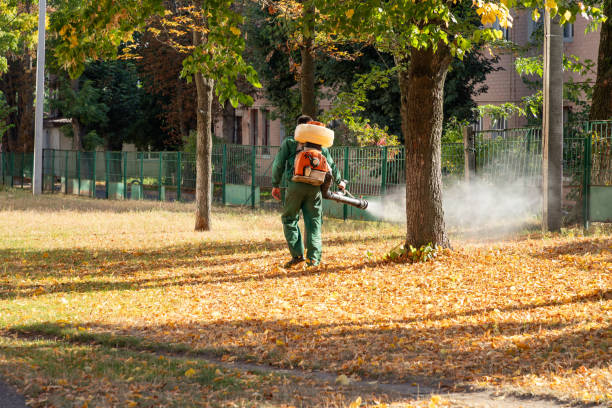 Best Residential Pest Control  in Mountain House, CA