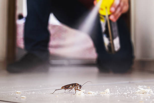 Best Pest Removal Services  in Mountain House, CA